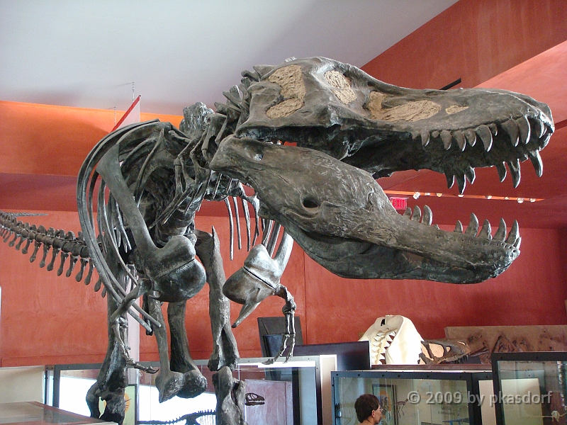 030 Cranbrook Institute of Science [2008 Jan 02].JPG